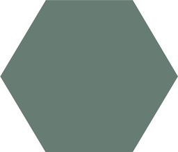 [43809-VEU] WINCKELMANS HEXAGONE 15cm 9mm Vert Uni (0,48m²/24st/doos)