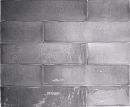 [RA2512] CX 6,2x25 Revoir Paris Atelier Gris Glans (0,32m²/20st/doos)