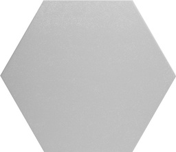 [CV2208] CX 25,1x22 Codicer95 Hex25 Basic Silver (1,04m²/25 st/doos)