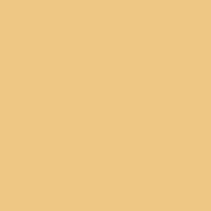 [42801-MIE] WINCKELMANS CABOCHON 5x5 Miel/Cognac (25st/doos)