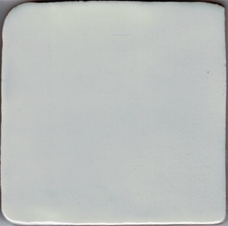 [CT1003] CX 10x10 La Porta Cotto Agua (0,50m²/50st/doos)