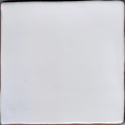 [CT1001] CX 10x10 La Porta Cotto Blanco (0,50m²/50st/doos)