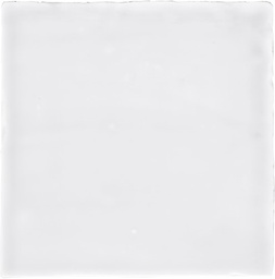 [HR0881] CX 10x10 Heritage Retiro Witjes Holland Mix (0,76m²/76st/doos)