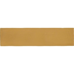 [RR2580] CX 6,2x25 Revoir Paris Provence Caramel (0,32m²/20st/doos)