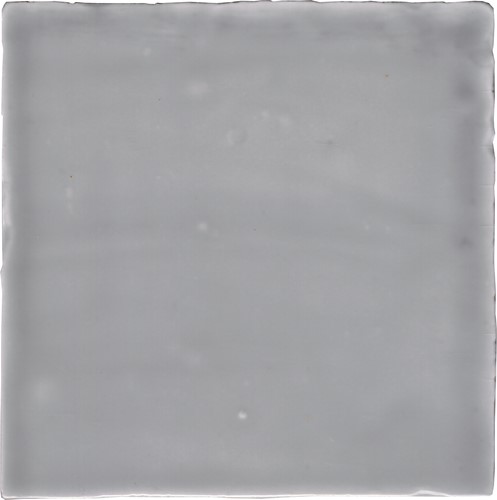 [HR0113-[T116]] CX 13x13 Heritage Retiro Titanio Brillo (1m²/60st/doos)