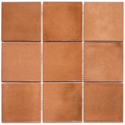 [KAG10012] TMF KASBA (KAG10012) Terra Glossy (1m²/11vel/doos)