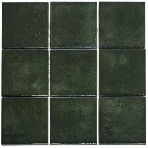 [KAG10500] TMF KASBA (KAG10500) Forest Green Glossy (1m²/11vel/doos)