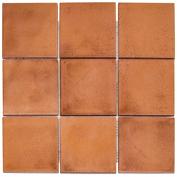[KAM10112] TMF KASBA (KAM10112) Terra Matt R10 (1m²/11vel/doos)