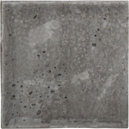 [HB0123] CX 10x10 Heritage Blaze Anthracite Brillo (0,80m²/80st/doos)