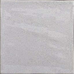 [HB0121] CX 10x10 Heritage Blaze White Brillo (0,80m²/80st/doos)