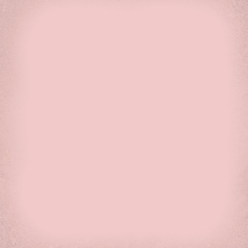 [VV2004] CX 20x20 Vives 1900 Rosa (1m²/25st/doos)