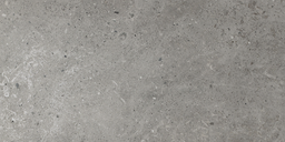 LIVING BERA&BEREN 60x120 DUCTILE 6mm Dark Grey (2,15m²/3st/doos)