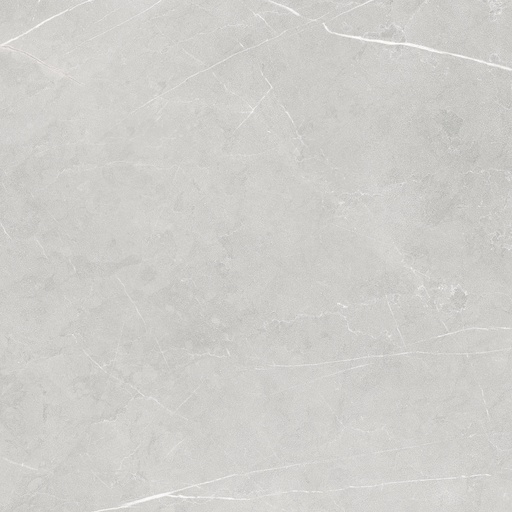 LIVING ALLURE 120x120 Light Grey Soft Textured (1,44m²/1st/doos)