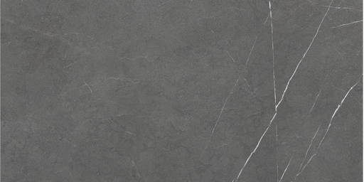 LIVING ALLURE 60x120 DUCTILE 6mm Anthracite Soft Textured (2,15m²/3st/doos)