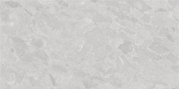 LIVING EME 30x60 Light Grey (1,07m²/6st/doos)