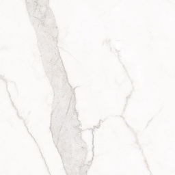 LIVING BLANC 120x120 Calacatta (1,44m²/1st/doos)