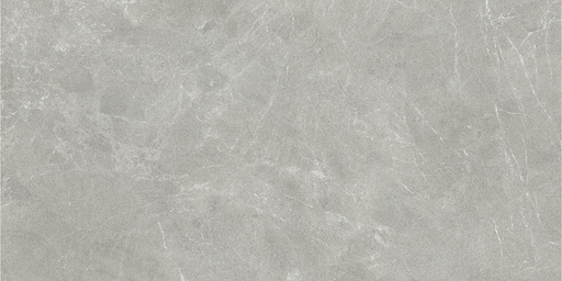 LIVING VONN 30x60 Grey Soft Textured (1,07m²/6st/doos)