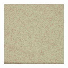 [45055-207] WINCKELMANS 10x10 Rose Fijn Porfier 207 (0,5m²/50st/doos) 